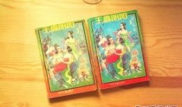 玉露阴阳 在线观看,揭秘阴阳平衡的神秘之旅